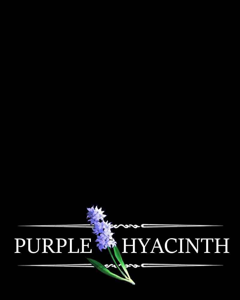 Purple Hyacinth Chapter 135 1